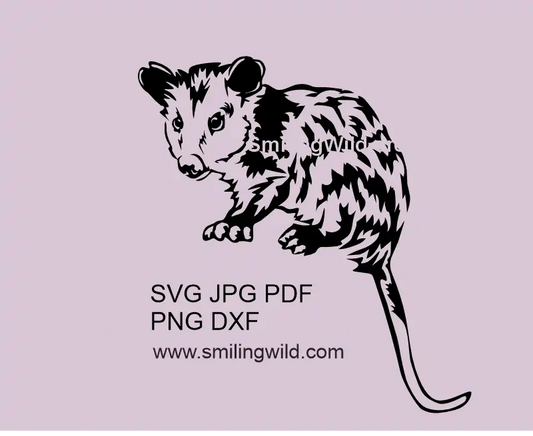 Opossum SVG PNG DXF - fulll body wild animal vector clipart digital design for Cricut crafts and laser cutting