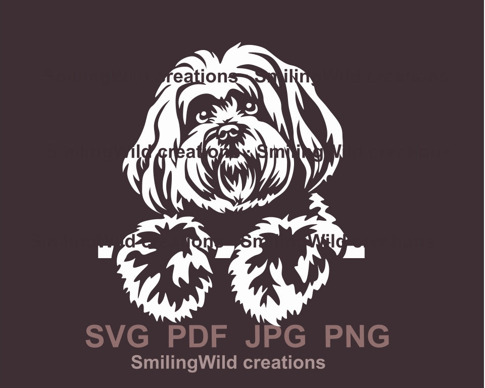 Coton de Tuléar SVG-Clipart-Porträt