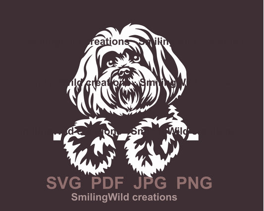 Coton de tulear svg clip art portrait