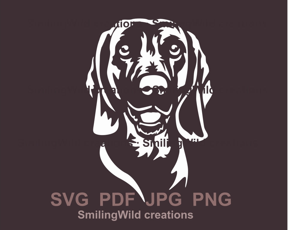 Bavarian mountain scent hound svg clip art