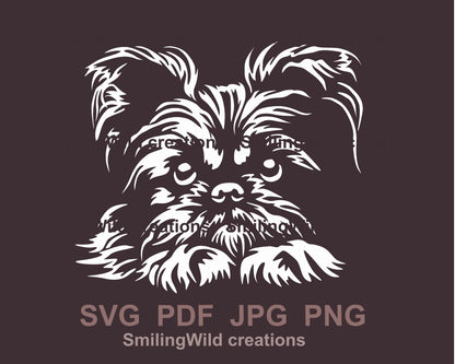 Brüsseler Griffon SVG weiß Vektor schneidbare ClipArt-Datei