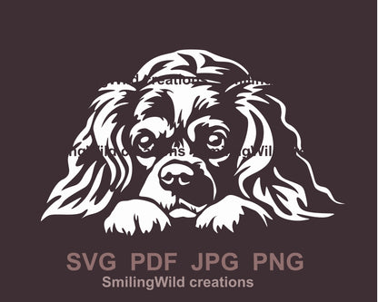 Cavalier King Charles Spaniel SVG-Clipart, schneidbares Vektordesign