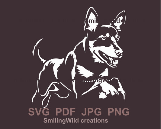 Springender Australian Kelpie Hund SVG Vektor Grafik Clip Art Datei, Hunde Agility Sprung für schwarzen Hintergrund