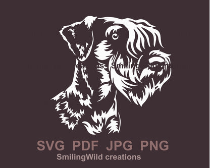 Cesky Terrier svg  cuttable vector graphic clip art