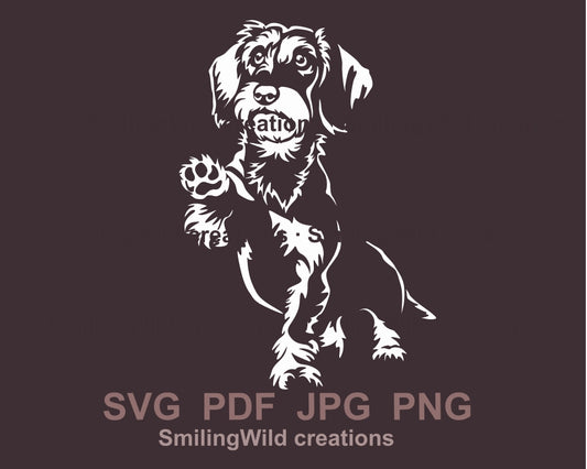 wirehaired dachshund svg vector clip art, dog cuttable svg file