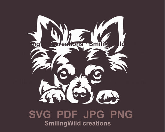 Langhaariger Chihuahua-Hund, SVG, schneidbare Vektor-Clipart-Datei