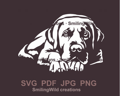 Labrador retriever svg clip art, white vector file