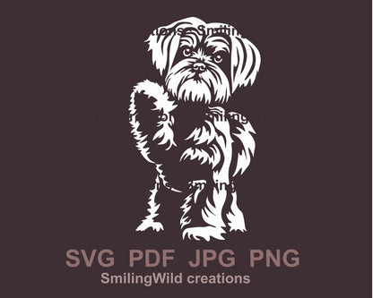 Malteser Hund SVG schneidbare Vektorgrafik ClipArt, weißes Vektorportrait