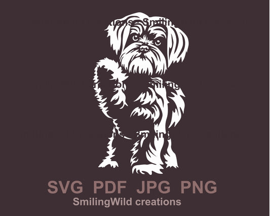 Maltese dog svg  cuttable vector graphic clip art,white vector portrait