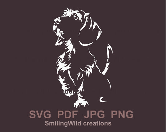 Drahthaardackel SVG, schneidbare Vektor-Clipart-Datei, Hund SVG-Porträt