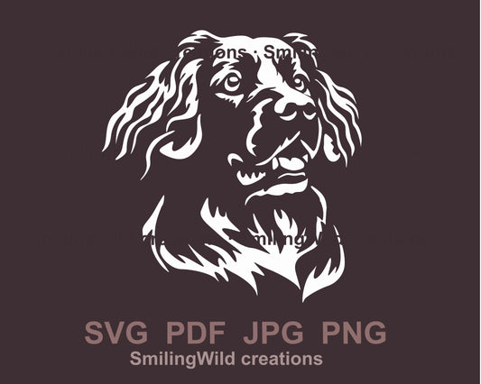 Stabyhoun dog face svg clip art portrait, hunting dog white vector graphic file