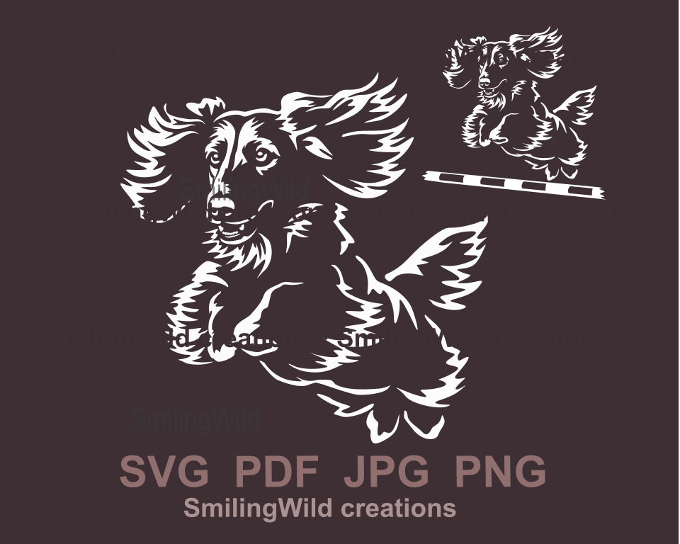 Springender Langhaardackel SVG Vektordatei, weißes Design, Hunde-Agility SVG