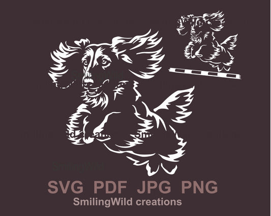 Jumping Long haired dachshund svg vector file, white design, dog agility svg