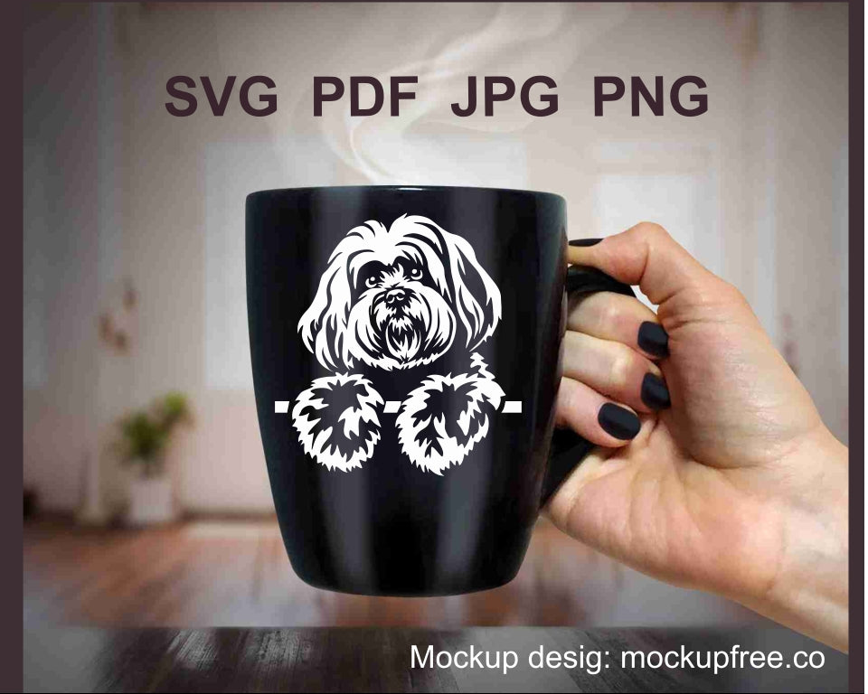 Coton de tulear svg clip art portrait