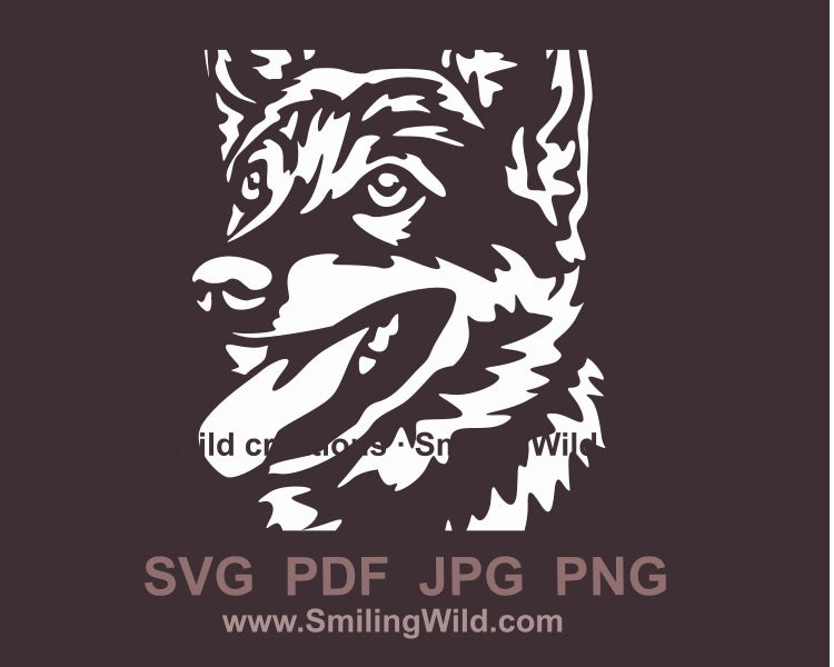 Schwedischer Vallhund SVG ClipArt Portrait, Västgötaspets Vektordatei