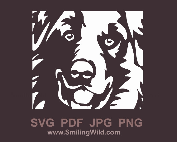 Kuvasz dog svg