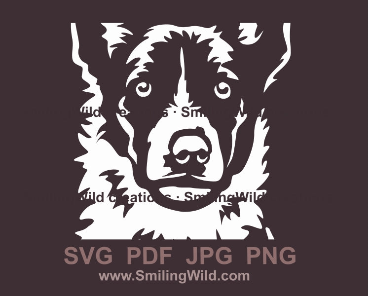 Smooth border collie svg clip art portrait, dog white vector graphic file