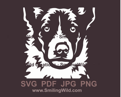 Glattes Border Collie SVG Clip Art Portrait, Hund weiß Vektor Grafikdatei