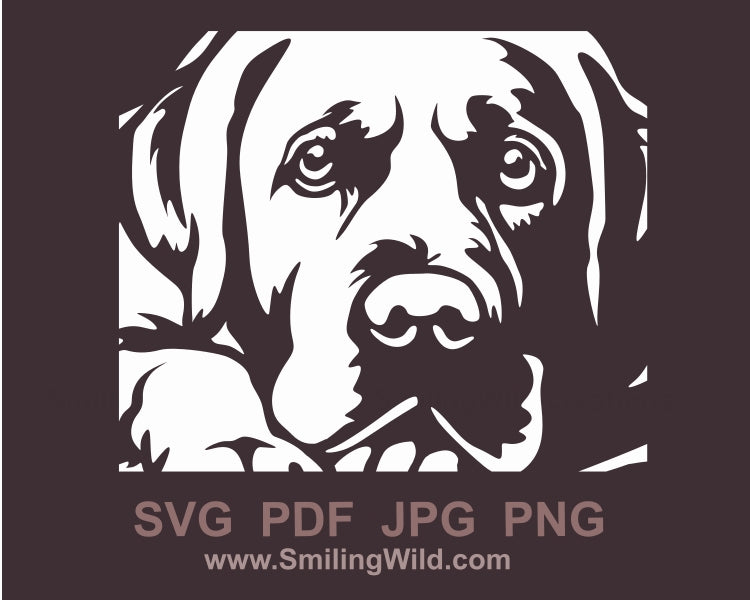 Labrador retriever svg clip art, white vector file