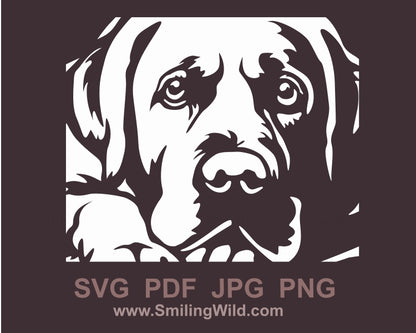 Labrador Retriever SVG ClipArt, weiße Vektordatei