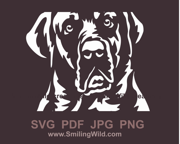 Broholmer Hund SVG Clip Art Portrait, Broholmer Hund weiß Vektorgrafik-Datei (Kopie)