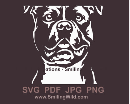 American pit bull terrier svg