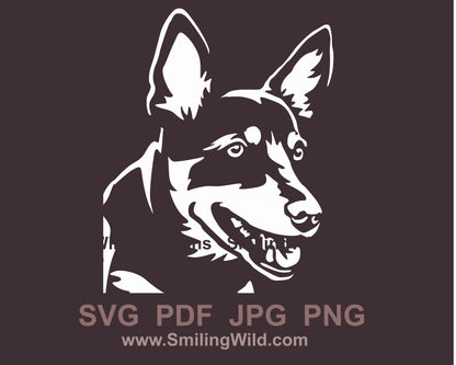 Springender Australian Kelpie Hund SVG Vektor Grafik Clip Art Datei, Hunde Agility Sprung für schwarzen Hintergrund