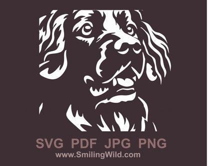 Stabyhoun Hundegesicht SVG Clip Art Portrait, Jagdhund weiß Vektor Grafikdatei