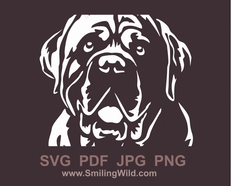 Englischer Mastiff SVG Cuttableb Vektor Clip Art, Englischer Mastiff digitale Grafikdatei, Hunde Vektor Portrait