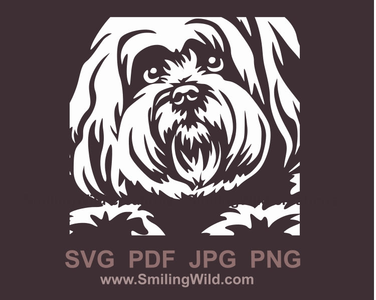 Coton de tulear svg clip art portrait