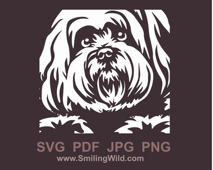 Coton de Tuléar SVG-Clipart-Porträt