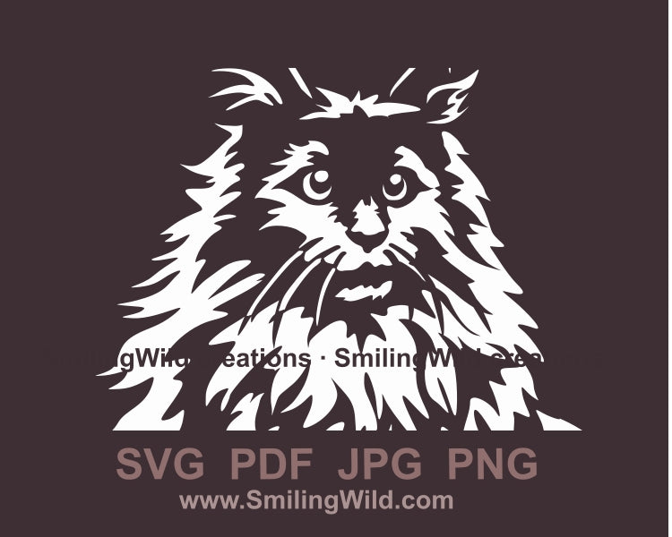 Maine Coon Katze SVG weiße Vektordatei