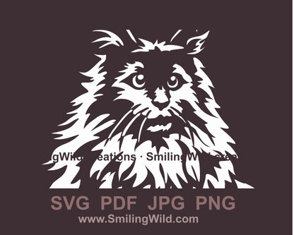 Maine coon cat svg white vector file