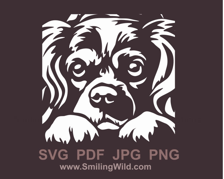 Cavalier King Charles Spaniel SVG-Clipart, schneidbares Vektordesign