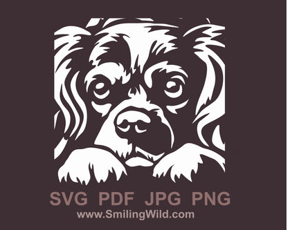 Cavalier King Charles Spaniel svg clip art cuttable vector design