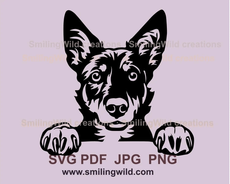 peeking australian kelpie face in black graphic design