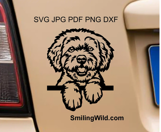 High-precision peeking dog vector clipart  of bolonka zwetna in png and DXF format optimized for clean vinyl plotting.