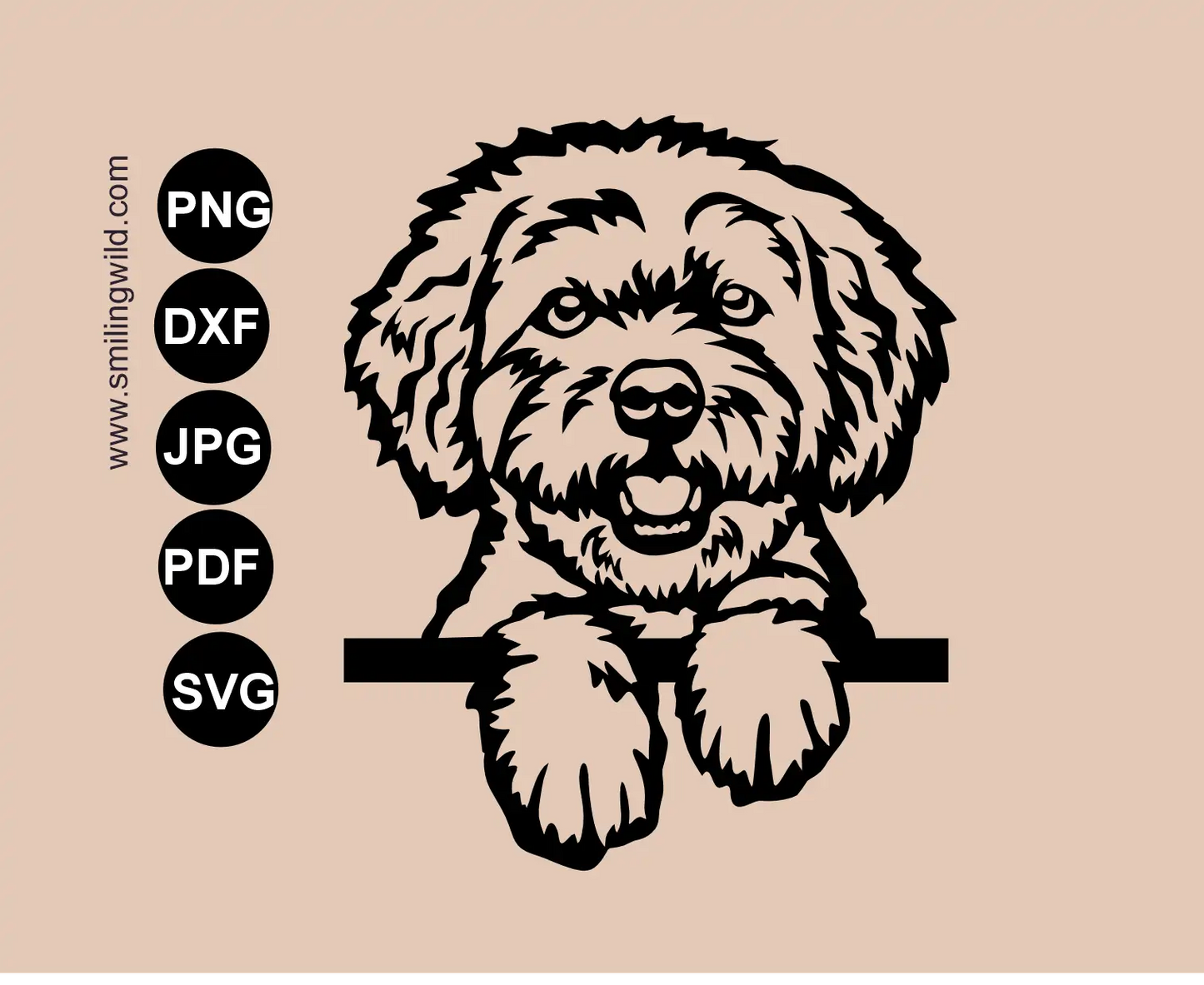 a peeking Bolonka zwetna svg cut file design presenting a frontal dog vector clipart layout for craft production