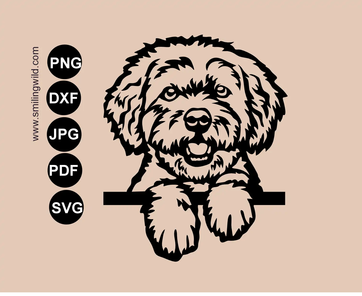a peeking Bolonka zwetna svg cut file design presenting a frontal dog vector clipart layout for craft production