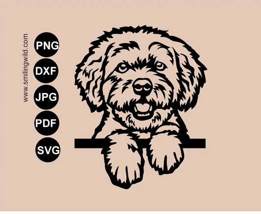 a peeking Bolonka zwetna svg cut file design presenting a frontal dog vector clipart layout for craft production