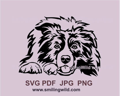 morder collie with pen mouth is lying and peeking. Image is made in a black graphic digital art style