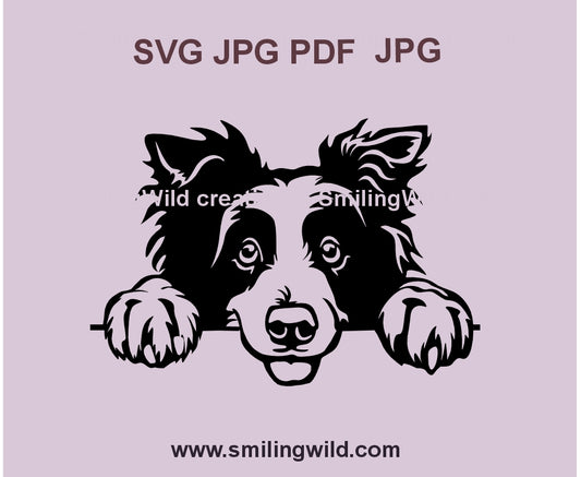 Peeking Border Collie SVG clipart – a detailed black vector dog portrait for Cricut and laser cutting