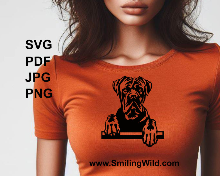 peeking cane corso  t shirt application