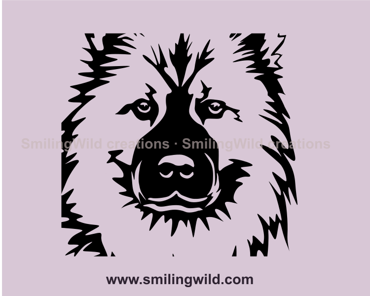 peeking eurasier vector transparent close up image