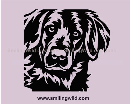 peeking flat coated retriever vector clip art in a close up frame