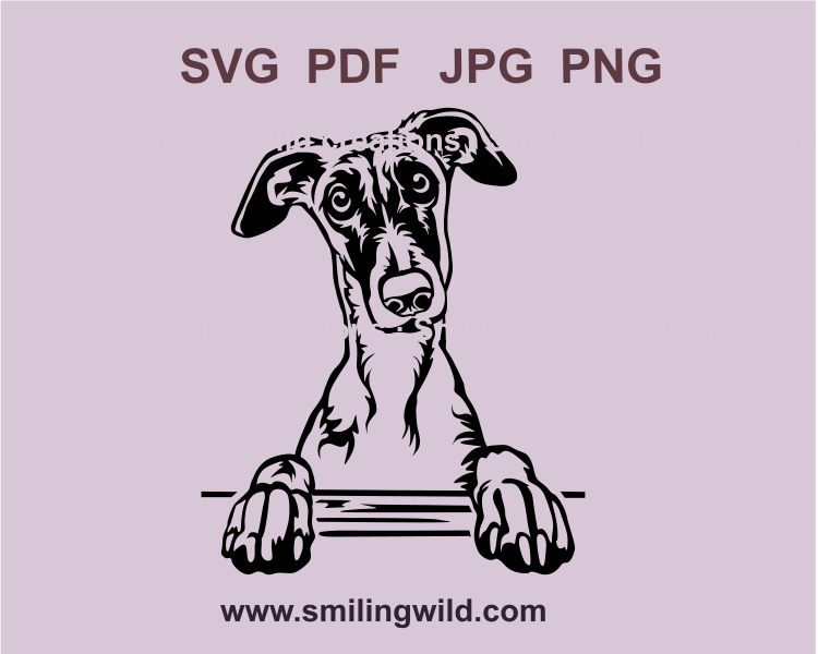 peeking galgo with paws on a table svg cuttable image in black color