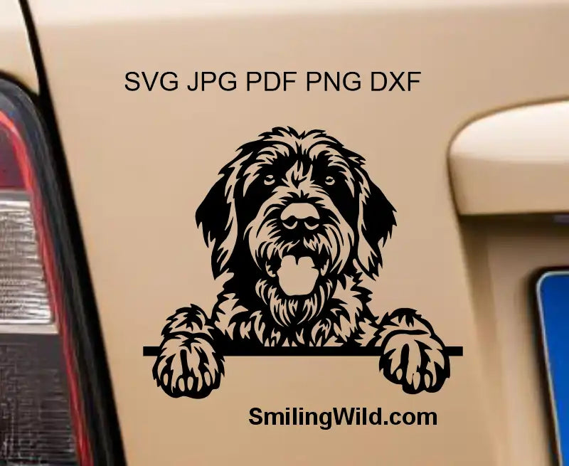 A car decal presenting the Peeking Wirehaired Pointing Griffon svg, png and dxf vector clipart of a hunting dog breed emphasizing the clean lines of the cut file needs.