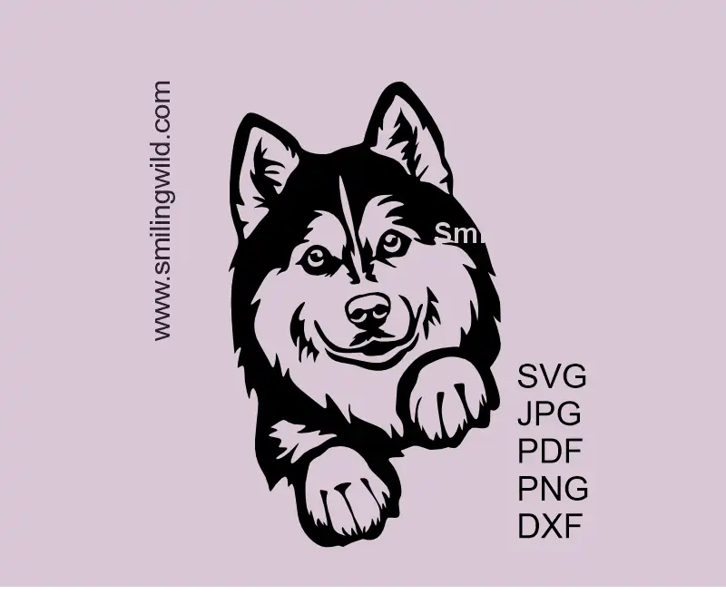 Peeking Husky SVG, PNG, DXF  - a curious dog face vector graphic clipart for cutting and engraving projects