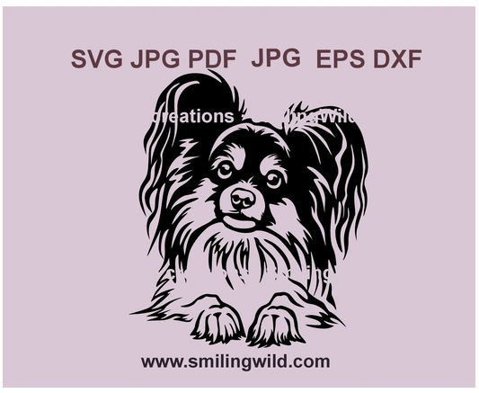 a vector graphic image showing a peeking papillon dog in svg, dxf, png file formats