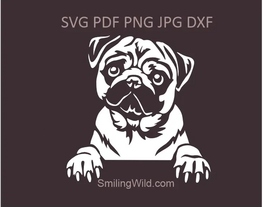 White Peeking Pug SVG PNG DXF vector clipart for Cricut, Silhouette, laser cutting, and vinyl crafting projects